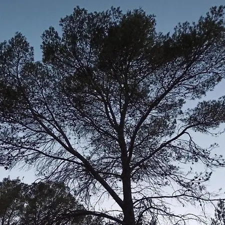 Au Coeur De La Provence
